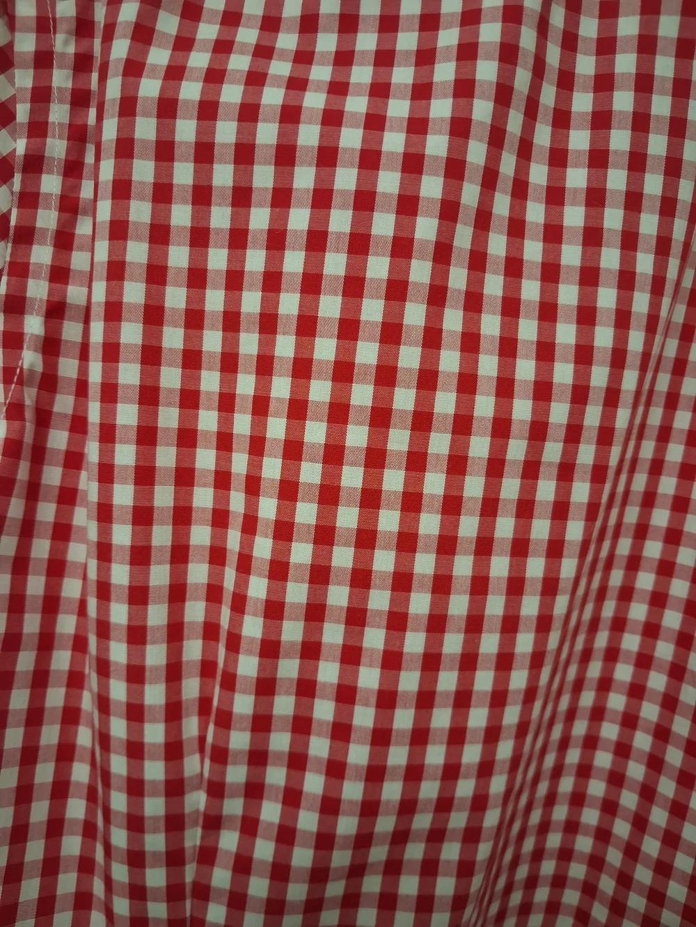 Banana Republic Red and White Gingham Tailored Button-Down Shirt